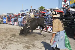 Rodeo competition, bull riders