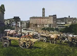 Roman Forum, seen from the Farnesi Garden