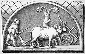 Roman peasant behind the plough