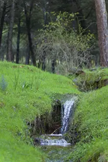 Ronda, malaga, spain Water flowing over a tiny waterfall amidst lush green grass