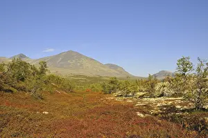 Rondane