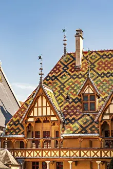 Detail of the roof of the Hotel Dieu with coloured glazed tiles