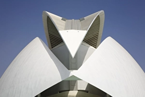 The roof of the Palau de les Arts Reina Sofia opera house