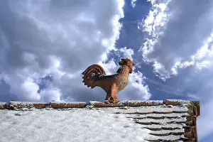 Rooster as a roof rider, cloud sky