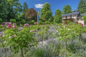 Rosarium with blooming roses in front of the Pompeian-Bavarian Casino on the Rose Island in Lake Starnberg