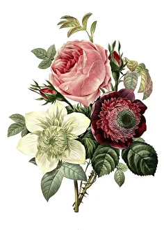 Rose, Anemone and Clematide Bouquet