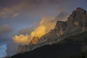 Rose garden in the Dolomites, rose garden group in Dolomites