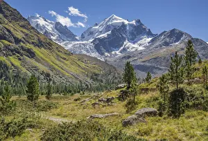 Roseg Valley, Val Roseg with Piz Roseg