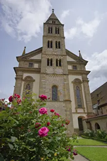 Roses in bloom in the cloister of Comburg Castle