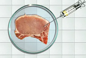 Rotten meat in a petri dish