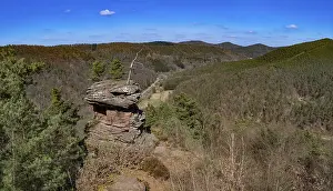 Round hat, mushroom-shaped rock in the Palatinate Forest