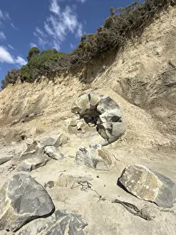 Round stones of the Moeraki Boulders at Moeraki Beach