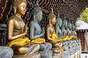 Row of Buddha statues, all with yellow robes
