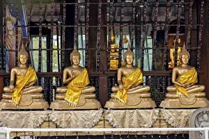 Row of Buddha statues in a temple