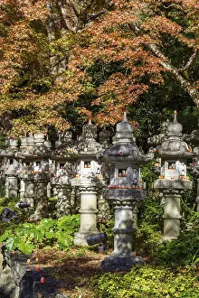 Row of stone lanterns under bright red maple trees in a tranquil forest setting