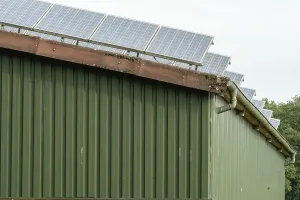 Rows of solar panels are installed on a green metal barn roof