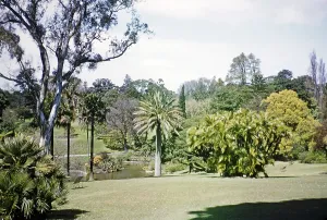 Royal Botanic Gardens Victoria, Melbourne, Victoria, Australia, 1956, Oceania