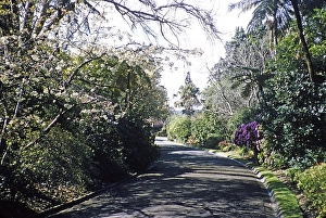Royal Botanic Gardens Victoria, Melbourne, Victoria, Australia, 1956, Oceania