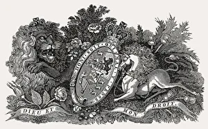 Royal symbol, England, illustration by Th