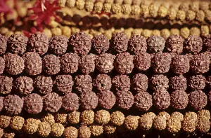 Rudraksha Malas