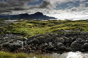Rugged coastal area with green grassy areas and dramatic skies in Andenes