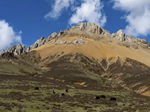 Rugged mountains and mountain ranges