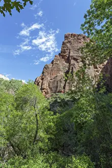 Rugged sandstone rock formation along the Weeping Rock Trail in Zion National Park