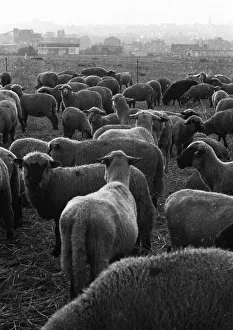 The Ruhr area with photographic impressions in the years from 1965 to 1970