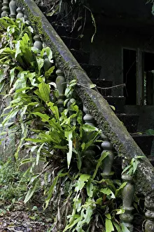 Ruins of ancient building hidden in jungles
