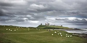 The ruins of Dunstanburgh Castle as seen from Craster along the shoreline of The North Sea