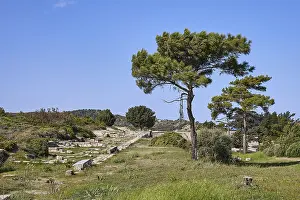 Ruins on a green meadow with several trees and blue sky on a sunny day