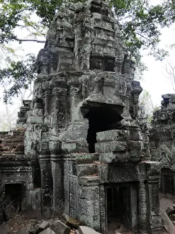 Ruins at Ta Prohm Temple, Siem Reap Province