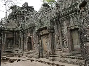Ruins at Ta Prohm Temple, Siem Reap Province