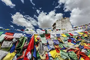 Ruins of Victory Fort Tsemo on the cliff of Namgyal hill