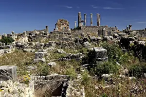 Ruins of the Volubilis Basilica and Capitol surrounded by wild vegetation under a cloudless sky