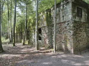 Ruins of the Wolf's Lair (also Wolf's Lair or Goerlitz)