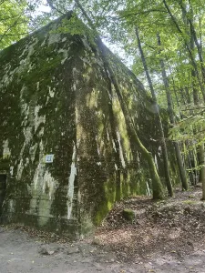 Ruins of the Wolf's Lair (also Wolf's Lair or Goerlitz)