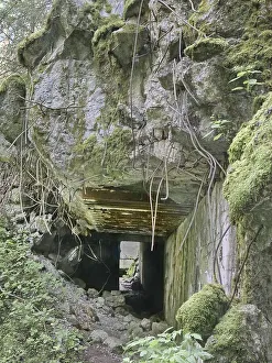Ruins of the Wolf's Lair (also Wolf's Lair or Goerlitz)