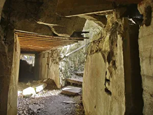 Ruins of the Wolf's Lair (also Wolf's Lair or Goerlitz)