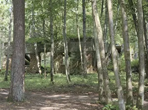 Ruins of the Wolf's Lair (also Wolf's Lair or Goerlitz)