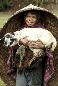 Rural boy holding sheep, the Khasi tribe