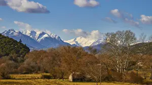 Rural scene with snow-covered mountains and trees in the foreground