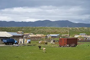 Rural settlement with huts and animals on a green pasture surrounded by mountains under a cloudy sky