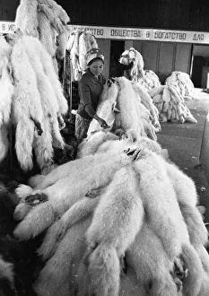 RUS, UdSSR, Irkutsk: Impressions from the USSR 1972 Siberia