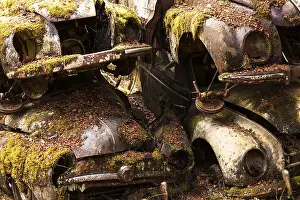 Rusty old vintage cars, scrap yard