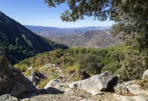 Ruta Botanica waking route from Area Recreativa El Alcazar