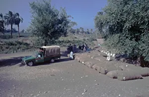 Sacks of cotton, van, people, trees
