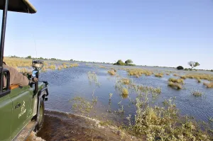 On safari with a 4x4 Landrover in the Okavango Delta swamps