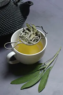 Sage tea in cup with tea strainer