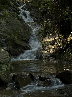 Sagebach, near the Feldberg